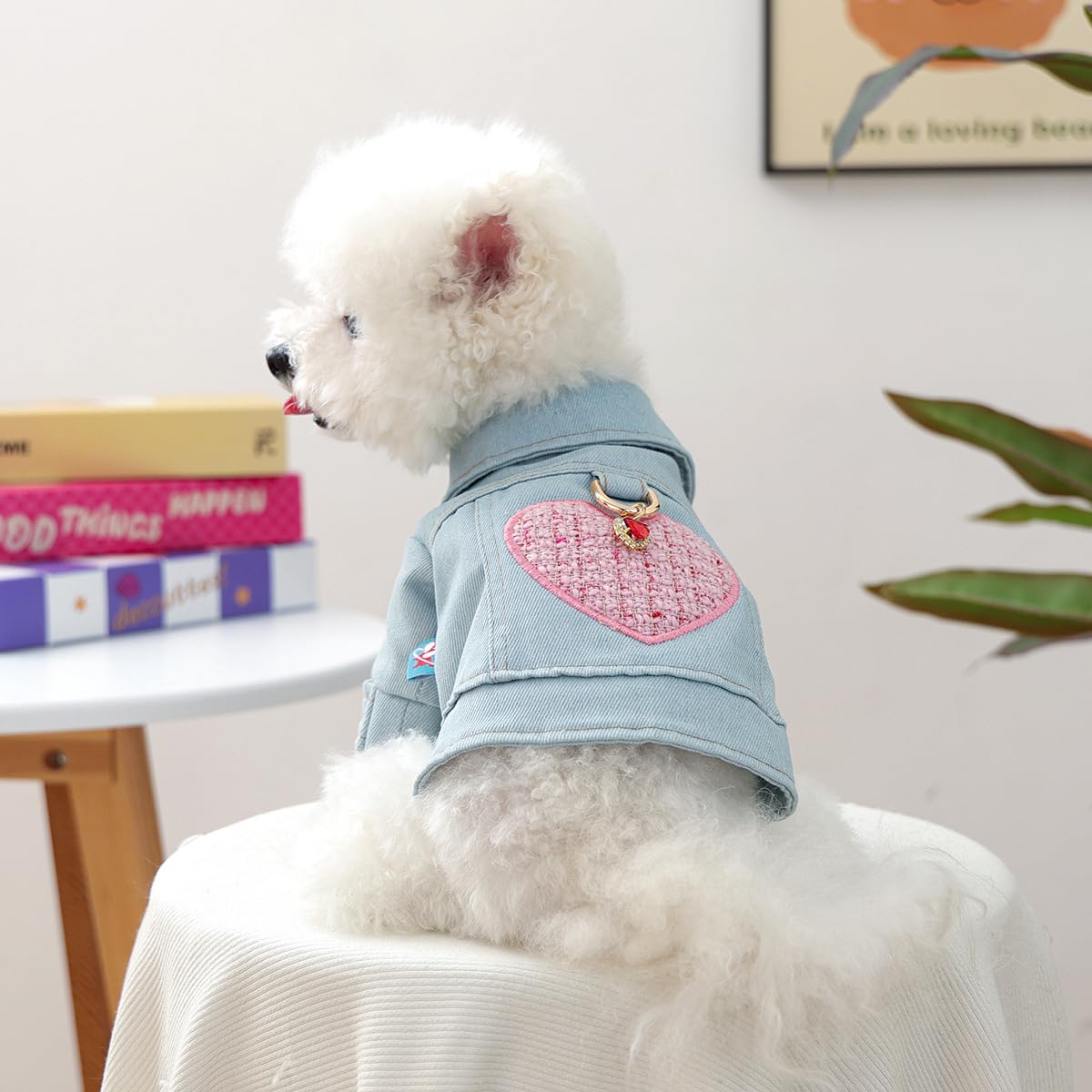 Love Hearts Dog Denim Jacket Clothes Pet Outfits Vest Jean Princess Puppy Jumpsuit Doggy Costume (Blue & Pink, X-Small)