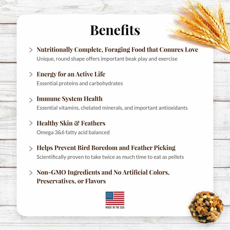 LAFEBER'S Classic Nutri-Berries Conure Food, Made with Non-GMO and Human-Grade Ingredients, for Conures (Classic 10 oz Pack of 2)