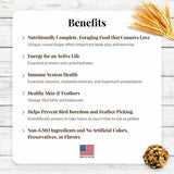 LAFEBER'S Classic Nutri-Berries Conure Food, Made with Non-GMO and Human-Grade Ingredients, for Conures (Classic 10 oz Pack of 2)