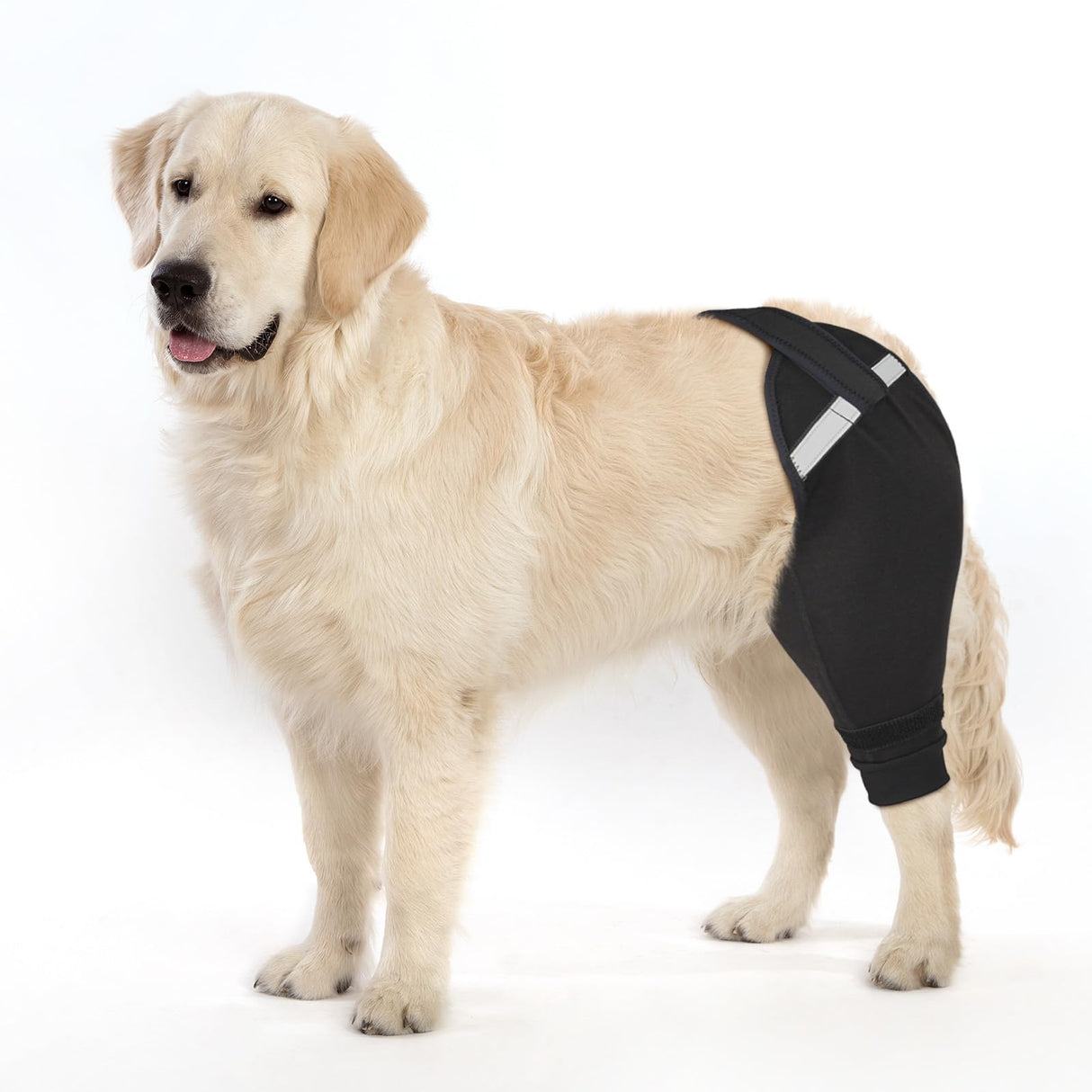 Petdream Dog Rear Leg Sleeve to Stop Licking, Upgraded Leg Shap to Stop Slipping, for TPLO Surgery, Skin Conditions, Wounds, Breathable Soft Fabric (Black, Right Leg, XS)