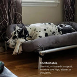 Kuranda Chewproof Elevated Dog Bed - Silver Aluminum - 30" x 20" - Heavy Duty Vinyl - Forest