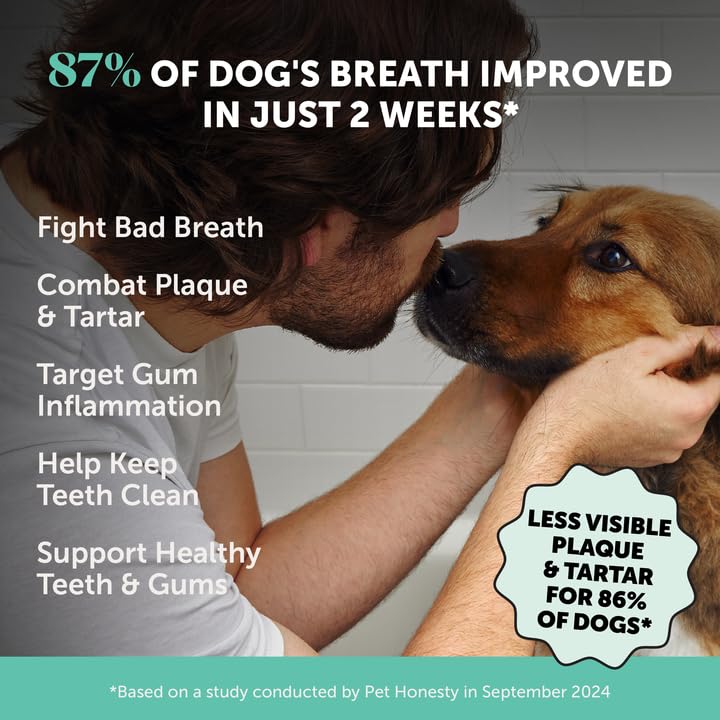Dog Breath Freshener Dental Powder for Teeth Cleaning Plaque Off, Dental Care for Large Dogs, Tartar Remover for Teeth with Natural Herbal Blend + Postbiotics (Mint - 60 Servings)