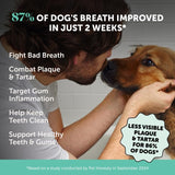 Dog Breath Freshener Dental Powder for Teeth Cleaning Plaque Off, Dental Care for Large Dogs, Tartar Remover for Teeth with Natural Herbal Blend + Postbiotics (Mint - 60 Servings)