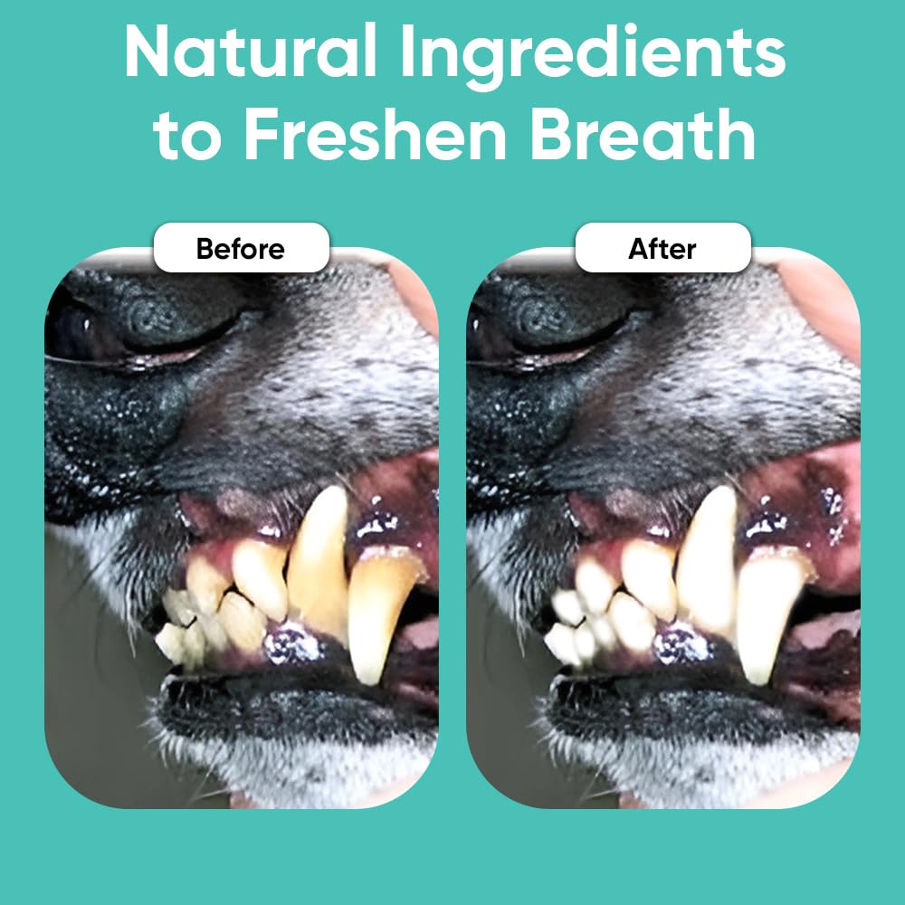 iHeartDogs Clean Teeth & Fresh Breath Dental Powder for Dogs - Targets Tartar & Bad Breath - Natural Herbal Blend with Kelp, Probiotics - Mint, 90 Servings