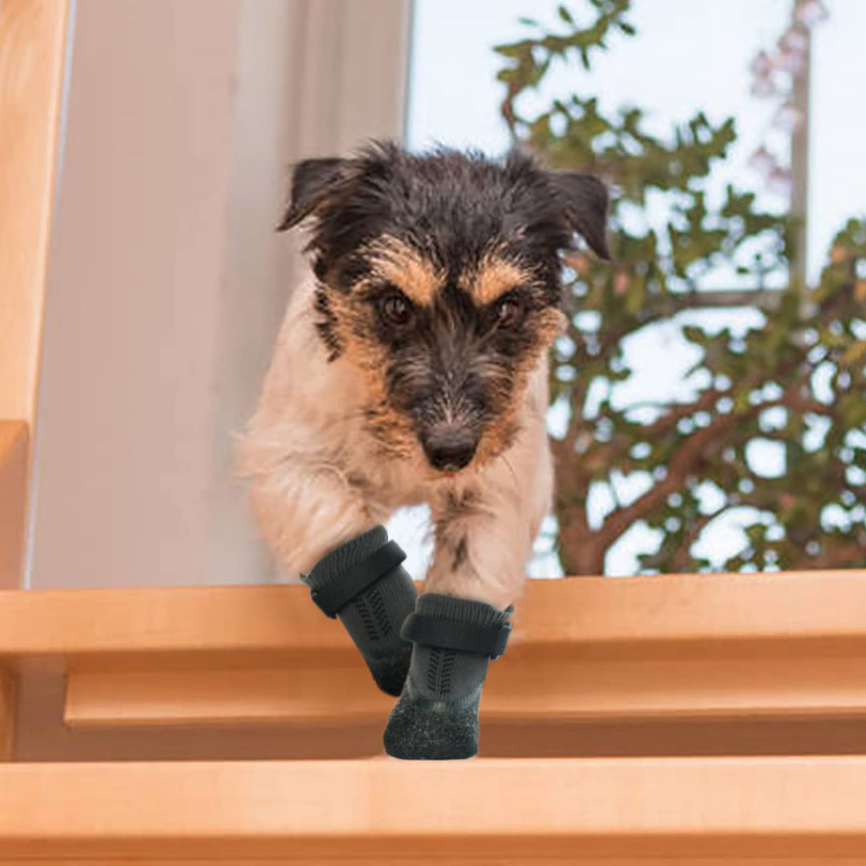 Puppy Dog Socks - Anti-Slip Grip Socks with Rubber & Straps, Non-Slip Paw Protectors for Small to Senior Dogs, Indoor/Outdoor Shoes/Booties for Hardwood & Hot Pavement