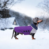 Geyecete Dachshund Coat,Dachshund Winter Coat,Warm Waterproof Windproof, High Neckine String Holes Miniature Dachshund Jacket for Small Dog-Purple-L