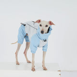 Dachshund Dog Raincoat with Legs, Waterproof Full Body Jacket, Hooded Outdoor Windbreaker for Small & Medium Dogs, Mini Dachshund Puppy Coat (Medium (13-17 lbs))