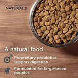 Diamond Naturals Large Breed Puppy Real Lamb Recipe Premium Dry Dog Food, 6 lb