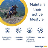 LubriSynHA Hyaluronic Acid Hip & Joint Care Supplement for Dogs, Cats & Horses – Liquid Oral HA for Pets – Joint Support Supplement Promotes Mobility, Flexibility, Cartilage Health & Comfort – 32oz
