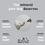 Zinc for Dogs - Dog Zinc Supplement - Helps to Support Healthy Skin, Coat, Immune Health & More - Dog Zinc - Dog Skin and Coat Supplement - Skin and Coat Supplement for Dogs - 1 fl oz - Bacon Flavor