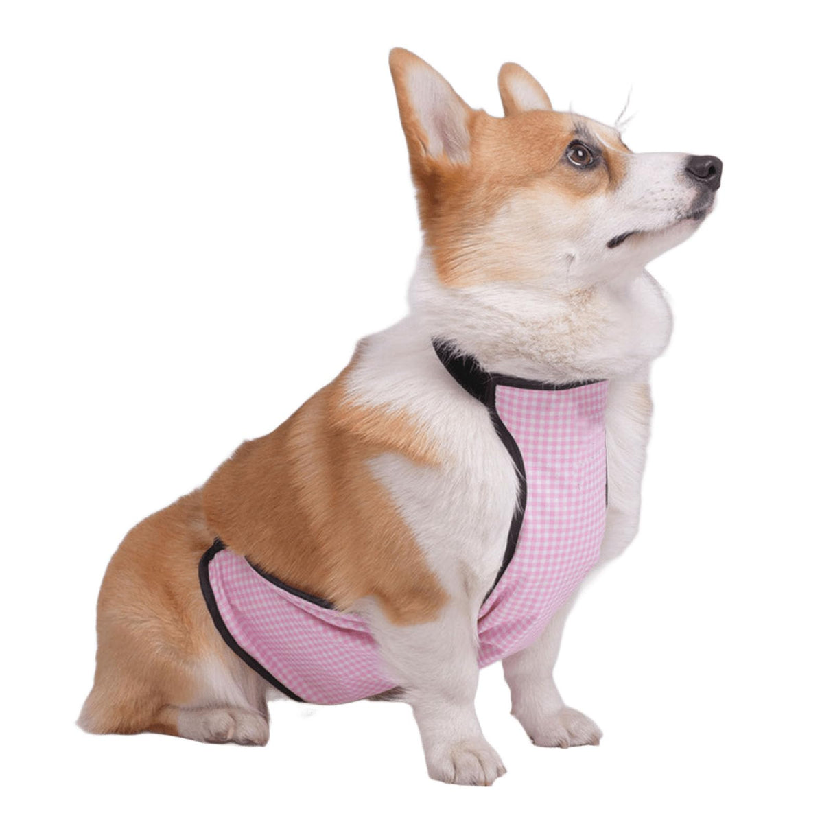 IUOUTG Waterproof Belly Vest for Corgi Anti-Dirty Dog Belly Cover Protector Raincoat for Short Leg Female Male Pet Outdoor Use