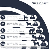 Divided SturdiBag X-Large Pet Carrier: Compartment for 2 Pets, Flexible Height for Cat and Dog Soft Sided with Safety Clips and Seatbelt Straps| Black, 20" x 16" x 12" (PN: SB3D-PRO-BL)