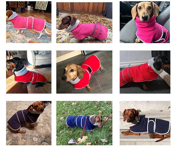 Geyecete Dachshund Sweaters for Dachshunds - Winter Coat with Padded Fleece Lining and High Collar - Dog Snowsuit with Adjustable Bands - Blue - M