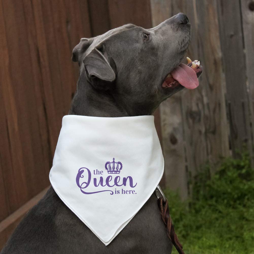 GRAPHICS & MORE The Queen is Here Crown Royalty Dog Pet Bandana