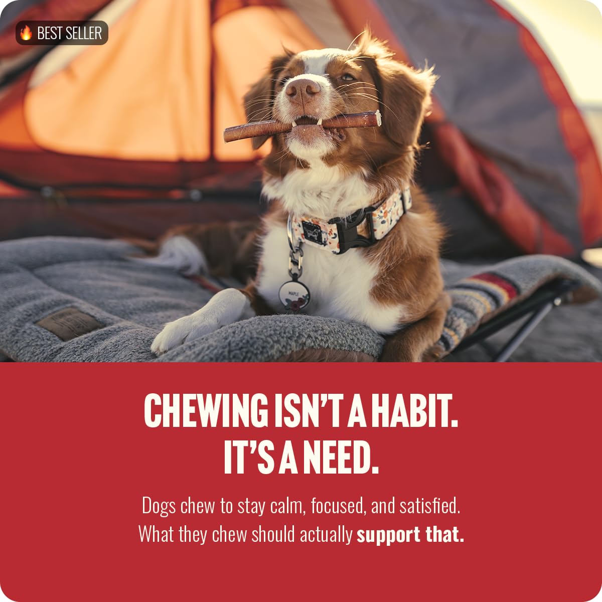 Natural Farm Odor Free Bully Sticks (4 Inch, 10 Pack) for Small & Medium Dogs - 100% Beef Chews for Pups, Non-GMO, Grain-Free, Fully Digestible Long Lasting Dog Treats