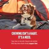 Natural Farm Odor Free Bully Sticks (4 Inch, 10 Pack) for Small & Medium Dogs - 100% Beef Chews for Pups, Non-GMO, Grain-Free, Fully Digestible Long Lasting Dog Treats