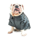 UOSIA Cold Weather Dog Coats Cool Dog Motorcycle Leather Jacket Windproof Waterproof Warm Pet Winter Costume with Zipper（Red，B-S）