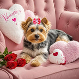 Senniea 60Pcs Dog Bows with Rubber Bands Love Heart Dog Bowknot Hair Bows Red Pink PuppyTopknot Bows for Day Doggie Cat Bunny Yorkie Pet Hair Grooming Accessories (Valentine's Day)