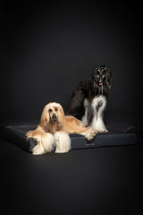 NOAH & PAW Giant Dog Bed XXL 55x45x9.5 Inch, Orthopedic Dog Beds, Eggshell Memory Foam Infused with Cooling Gel, Waterproof, Machine Washable, Includes Inner Cover (Faux Leather)