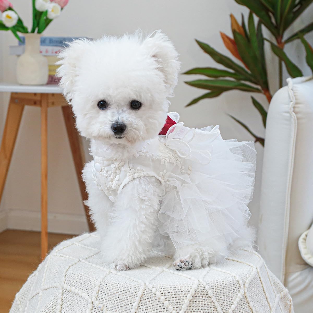 Furbabycare Autumn Winter Fashion Sweet Puppy Dog Blingbling Princess Skirt Dress for Small, Extra Small Dogs - White, Floral, Polyester Blend, XS (Chest:11.0" Body Length:7.0")