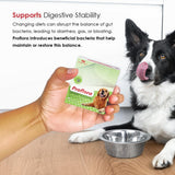 Proflora Probiotics for Dogs-Complete Gut Health & Immune Support. Easy to Use Digestive Multi-Strain Probiotics. Easier Diet Transitions, Healthier Skin & Coat & Helps Treat Diarrhea. 30 Packets.