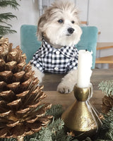 DroolingDog 3 Pack Plaid Dog Tee, Puppy Button Up Shirt, Polo T-Shirt, Breathable Summer Tee, Medium