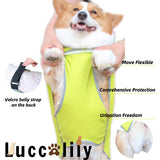 Luccalily Dog Rain Jacket with Hood for Small Pet, Waterproof Raincoat with Reflective Strip，Adjustable Belly Strap Protection, Lightweight Poncho (X-Small,Light Green)