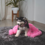 Puptail Medium & Large Dog Dress with Dog Bandana - Pink (Shih Tzu, Labrador, Golden Retriever, Pug & Cat Cloths)