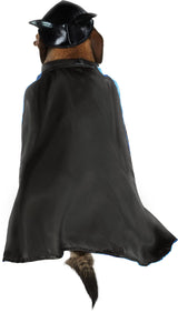 DC Comics Superheroes: Batman Pet Costume for Dogs or Cats by Rubies, Large