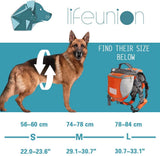 Lifeunion Polyester Dog Saddlebags Pack Hound Travel Camping Hiking Backpack Saddle Bag for Small Medium Large Dogs (Neon Green,L)