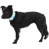 Ruffwear, Swamp Cooler Dog Neck Gaiter, Evaporative Cooling Gear for Hot Weather, Graphite Gray, Medium