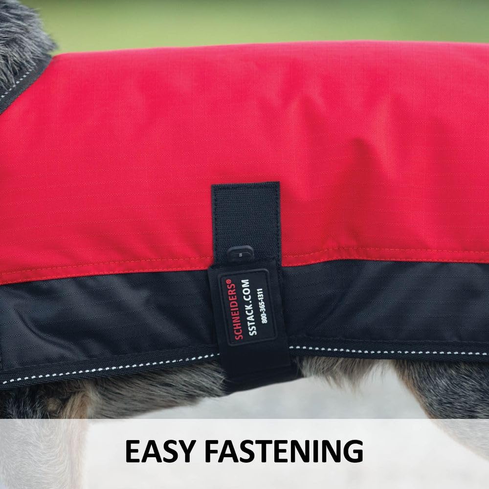 Schneiders Insulated Waterproof Reflective Dog Coats II | Reflective Stiching | 600D Polyester Waterproof | Soft Nylon Lining | Medium Weight 200gm | Color Royal | Size Medium