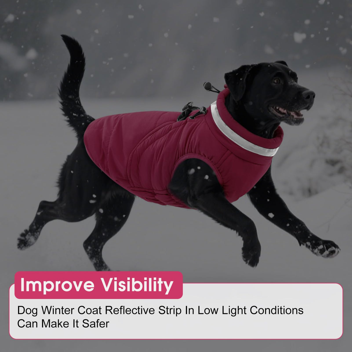 SAWMONG Dog Coat, Warm Dog Winter Coat, Waterproof Fleece Jacket, Cold Weather Dogs Jacket (M,Rosered)