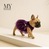 MYDOGGIE Luxury Velvet Dress for Small Dogs & Puppies (Toy Breeds) | Elegant Princess Outfit with Glitter Tulle & Satin Bow | Perfect for Chihuahua, Yorkie & Teacup Sizes | Premium Gift Box Included