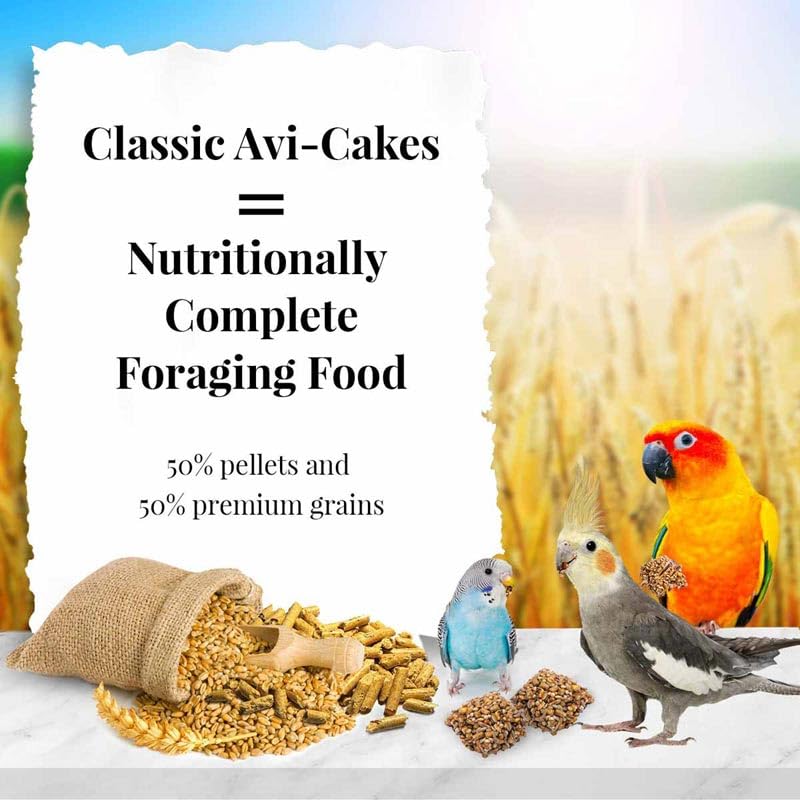 LAFEBER'S Classic Avi-Cakes Pet Bird Food, Made with Non-GMO and Human-Grade Ingredients, for Cockatiels Conures Parakeets (Budgies) Lovebirds (8 oz Pack of 2)