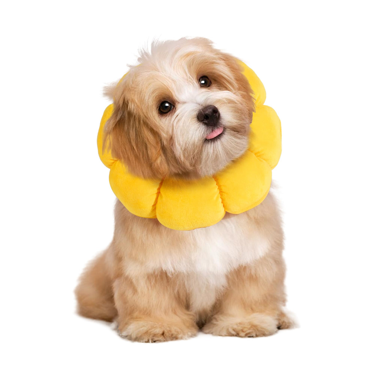 HOMBYS Soft Dog Cone for Dogs and Cats, Cute & Fluffy Flower Shape for Claming, Adjustable Dog Collar Alternative After Surgery, Protective Elizabethan Collar for Dogs Recovery & Stop Licking, L