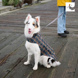 RC Pets Delta Rain Slicker, Water-Resistant Dog Raincoat, Medium, Lemon