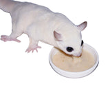 Instant-HPW - All Natural Vitamin Enriched Sugar Glider Food - Healthy & Nutritious - High Protein Wombaroo - Staple Diet (1 lb)