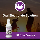 Vet Classics Pet-A-Lyte Oral Electrolyte Solution for Dogs and Cats – Helps Replace Fluids Lost from Pet Dehydration, Diarrhea, Vomiting – Replaces Dog Electrolytes – 32 Oz.