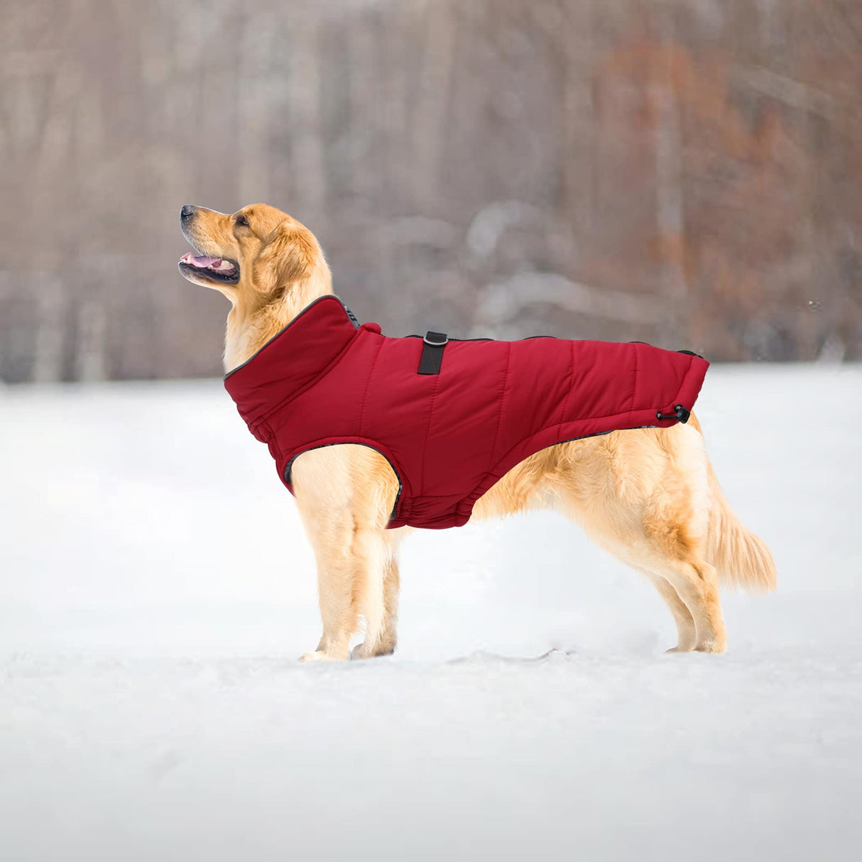 Geyecete Dog Winter Warm Coat Dogs Winter Jacket Windproof Snowproof,Pet Outdoor Jackets Dog Jacket for Small Medium Large Dogs-Red-M