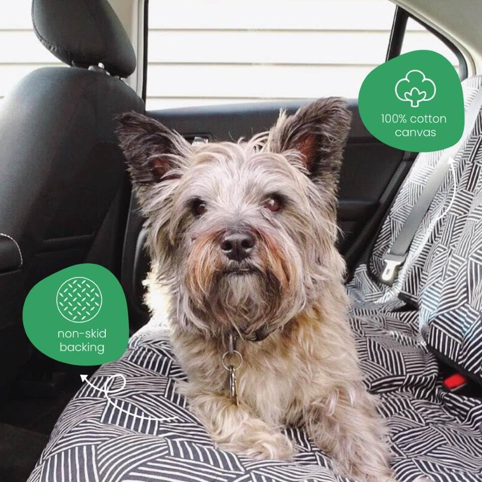 Molly Mutt 3-in-1 Back Seat Cover for Dogs, 100% Cotton Canvas Back Seat Hammock with Headrest Straps, Belt Slots, & Anchors, Non-Skid Cargo Area Cover, Machine Washable, No Harmful Chemicals, 56"x56"