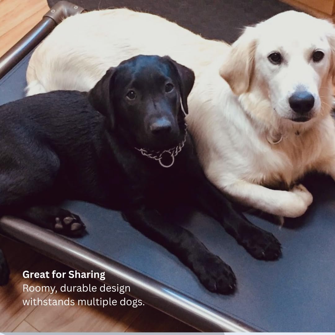 Kuranda Chewproof Elevated Dog Bed - Walnut PVC - 40" x 25" - Cordura Nylon - Gold