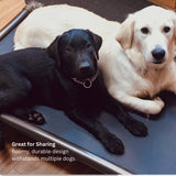 Kuranda Chewproof Elevated Dog Bed - Walnut PVC - 40" x 25" - Cordura Nylon - Gold