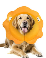 MIDOG Dog Cone Collar for Large Medium Dogs, Soft Inflatable Dog Cone Alternative After Surgery, Adjustable Protective Recovery Cone - Alternative E Collar Does Not Block Vision (Lion,XL)