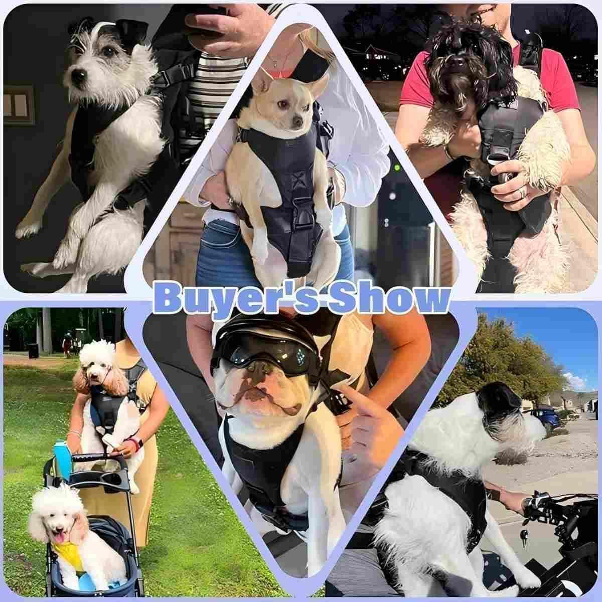 YUDODO Front Pet Carrier Backpack for Small Dogs and Cats, Secure and Breathable Mesh Travel Dog Carrier with Safety Belt, Ergonomic Support, Adjustable for Walking, Hiking (Black-Pro M)