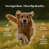 PupRx Colostrum for Dogs - 25% IgG Pure Bovine Colostrum Powder Supports Immune & Gut - Digestive Health, Allergy, Skin & Itch Relief - No Fillers, Grass-Fed USA Sourced – 60g (~120 Scoops)