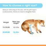 TailWaggers Medium Dog Wheelchair for Back Legs | Adjustable Mobility Aid | All-Terrain Wheels| for Pets That fit a Border Collie,Golden Retriever Dog's Size