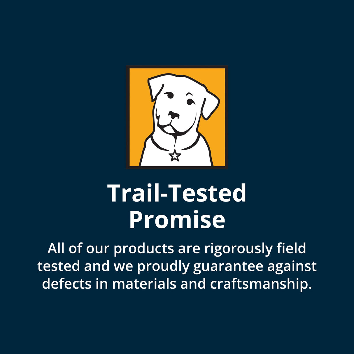 Ruffwear, Hi & Light Dog Shoes, Featherlight Paw Protection with Enhanced Ground Feel & Agile Performance for Fast Adventures, Blue Pool, 2.75"