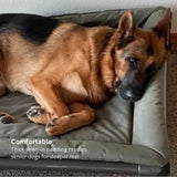 Kuranda Orthopedic Canvas Dog Bed Pad – Durable Cordura® Fabric with Quilted Padding - XX-Large - 50" x 36" - Royal Blue
