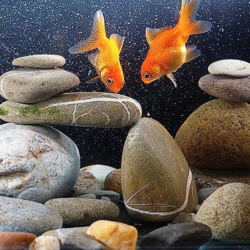 20lbs Natural River Rocks, 2"-3" Premium Pebbles for Garden and Landscape Design, Hand-Picked Smooth Stones for Fish Tank, Flower Pots, Indoor Water Fountains, Pathways, Backyard